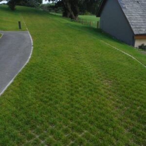 Ecopark 75 Heavy Duty Parking Grids